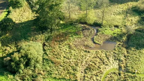 RIVER WAVENEY TRUST A shallow pond holding floodwater
