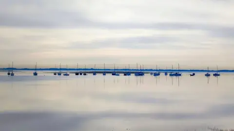 Vicky Stovell TUESDAY - Langstone harbour