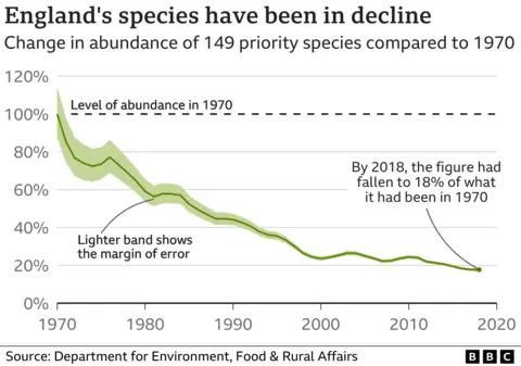 Wildlife decline