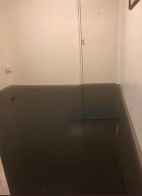 Daisy King Two feet of water floods the inside a home