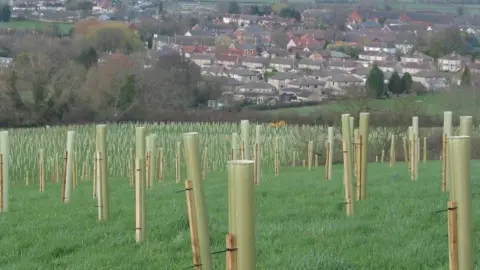 SBC Planted trees in the Great Western Community Forest, Swindon