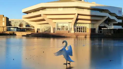 Gary Gimmick A swan stood on the frozen lake at the University of York with the central hall behind it