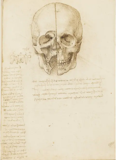 Royal Collection Trust An anatomical drawing of a skull by Leonardo da Vinci