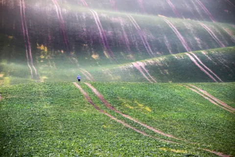 AndreJa Ravnak / TPOTY.COM Field, South Moravia, near Cejc, Czech Republic