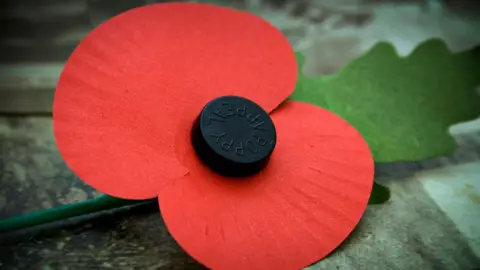 Remembrance Poppy