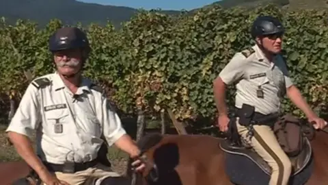 France 3 TV French horseback patrol of vineyards, Haut-Rhin District, September 2018