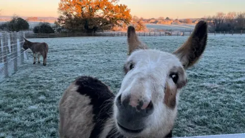 PA Media A frosty sunrise in Barnham, West Sussex.