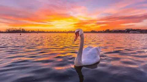 Photos by Cenk SUNDAY - Poole Park