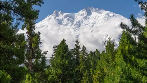 Getty Images Nanga Parbat mountain with pine tree, Fairy Meadow, Pakistan