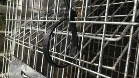 RSPCA Cage tied shut with cable ties