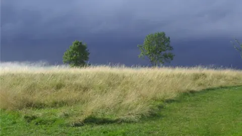 David Howard Fryent Country Park