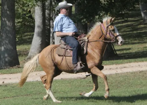 Getty Images Roy Moore rides his horse Sassy to vote in the GOP run-off election on 26 September, 2017 in Gallant, Alabama