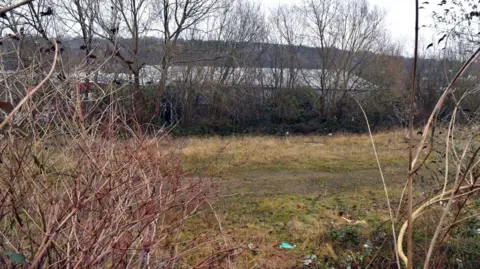 A vacant plot of land which has become overgrown with Japanese Knotweed. There is also litter strewn across the ground.