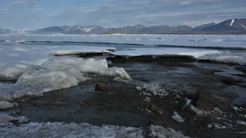 The newly-discovered island off Greenland's coast