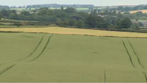 BBC Northumberland farmland