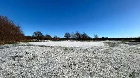Greyman/BBC Weather Watchers A field with light covering of snow with trees in the distance and a blue sky.