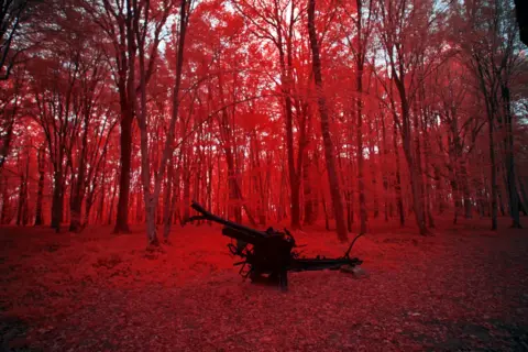 Jonathan Beamish Belleau Wood