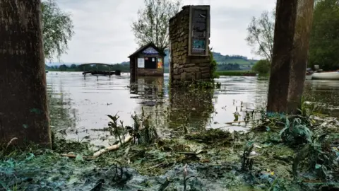 Sam Ryall Llangors lake filled with blue-green algae