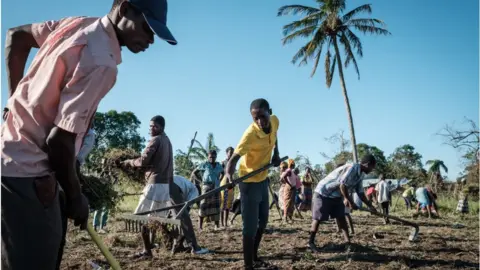 Getty Images Farming in Africa