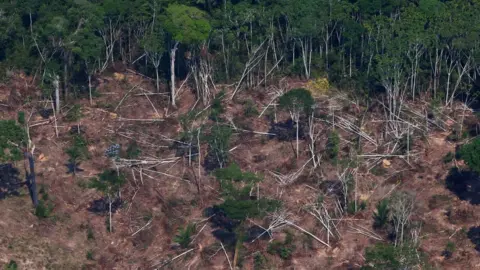 Reuters A deforested and burnt plot in Brazil's Amazon. File photo