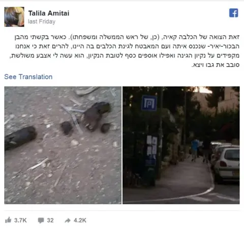 Talila Amitai Talila Amitai Facebook post