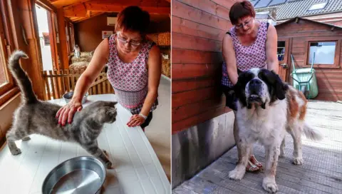 Reuters A composite photo of Valerie Luycx with Calin the cat and Yam the nine-year-old Saint Bernard dog poses for a portrait