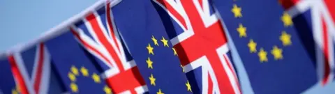 Getty Images UK and EU flags