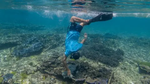 Nathalie Bertrams Diver