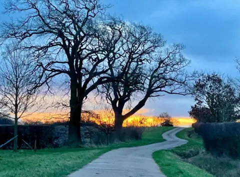 Shurlock Homes This photo of trees silhouetted against the sunrise in Waltham St Lawrence was captured by Weather Watcher Shurlock Homes