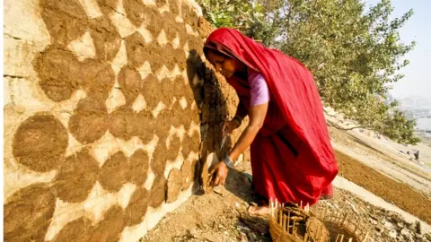 Getty Images Woman making cow dung cakes