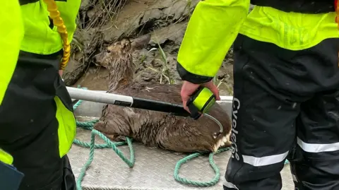 Fenland District Council Firefighters and a deer