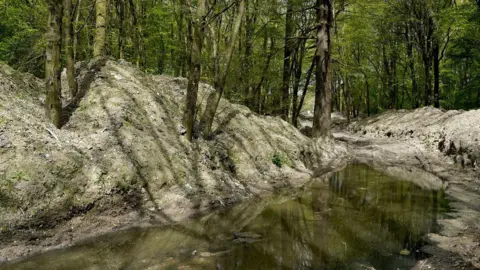 PA Media Stagnant green water lies below huge piles of grey waste in the middle of a woodland