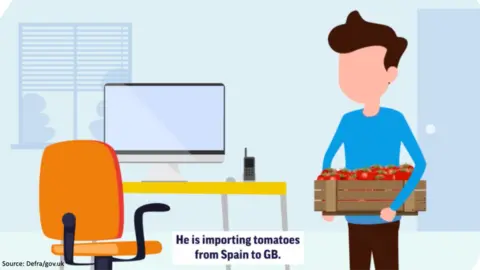 A screenshot of a frame from the government's animated video showing a character called Ali who imports tomatoes from Spain