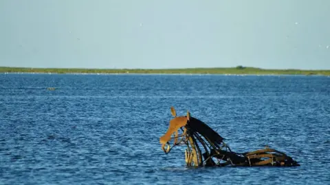 Rachael Long Lifeboat Horse, Wells-next-the-Sea