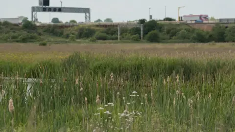 National Highways The M6 motorway runs next to Doxey Marshes where work will be carried out