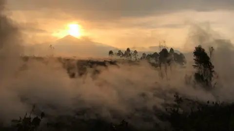 Reuters Smouldering lava deposited by the eruption of Mount Nyiragongo volcano is seen near Goma - Sunday 23 May 2021