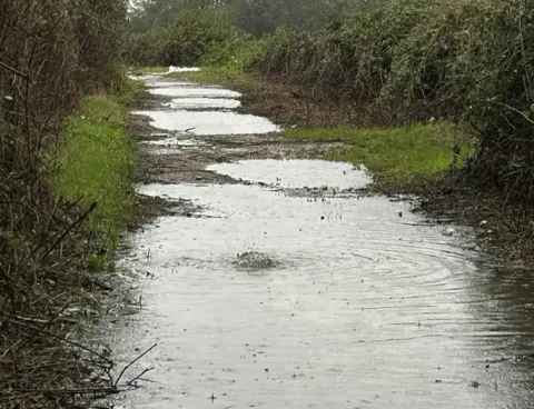 Hazel Harwin Water on Barkers Lane in March