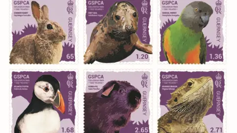 Guernsey Post Animal stamps