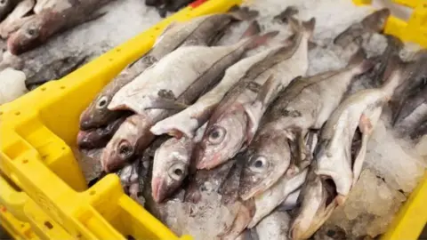 Getty Images caught fish