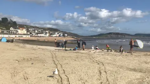 Dorset Council Front Town beach