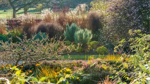 Cambridge University Botanic Garden Winter garden 2018