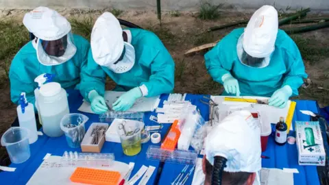 Getty Images Congolese scientists examining samples for the monkeypox virus