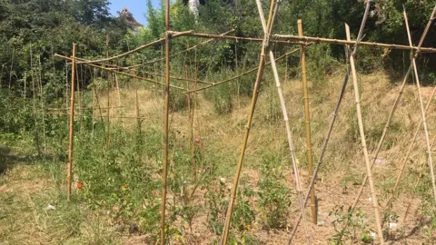 Mark Bauwens Mark grows fruit and vegetables using bamboo canes.