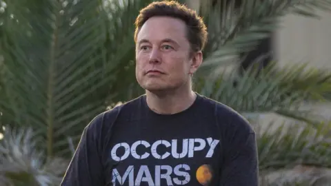 Getty Images SpaceX founder Elon Musk speaks at an event in Texas.