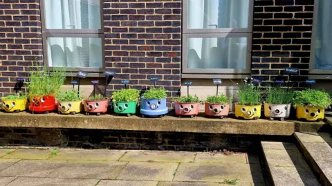 Dominic Luff Henry vacuum cleaners planted with herbs