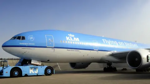 LEX VAN LIESHOUT Image of KLM plane with words 'flying on biofuel' across body