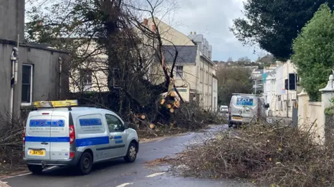 Tree broken branches being cut down