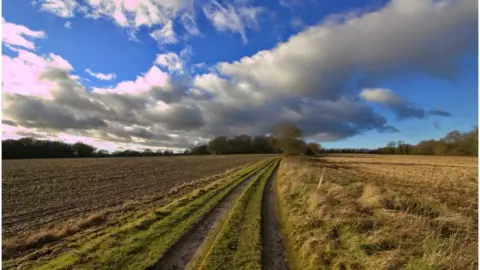 Alastair Jarman Sandleford Park