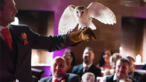 Stacey Oliver Moment before owl attack