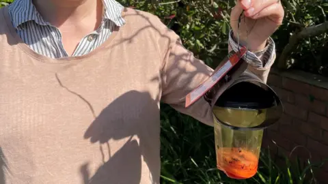 States of Guernsey Elspeth Wigmore holding the trap in Les Arguillliers Lane